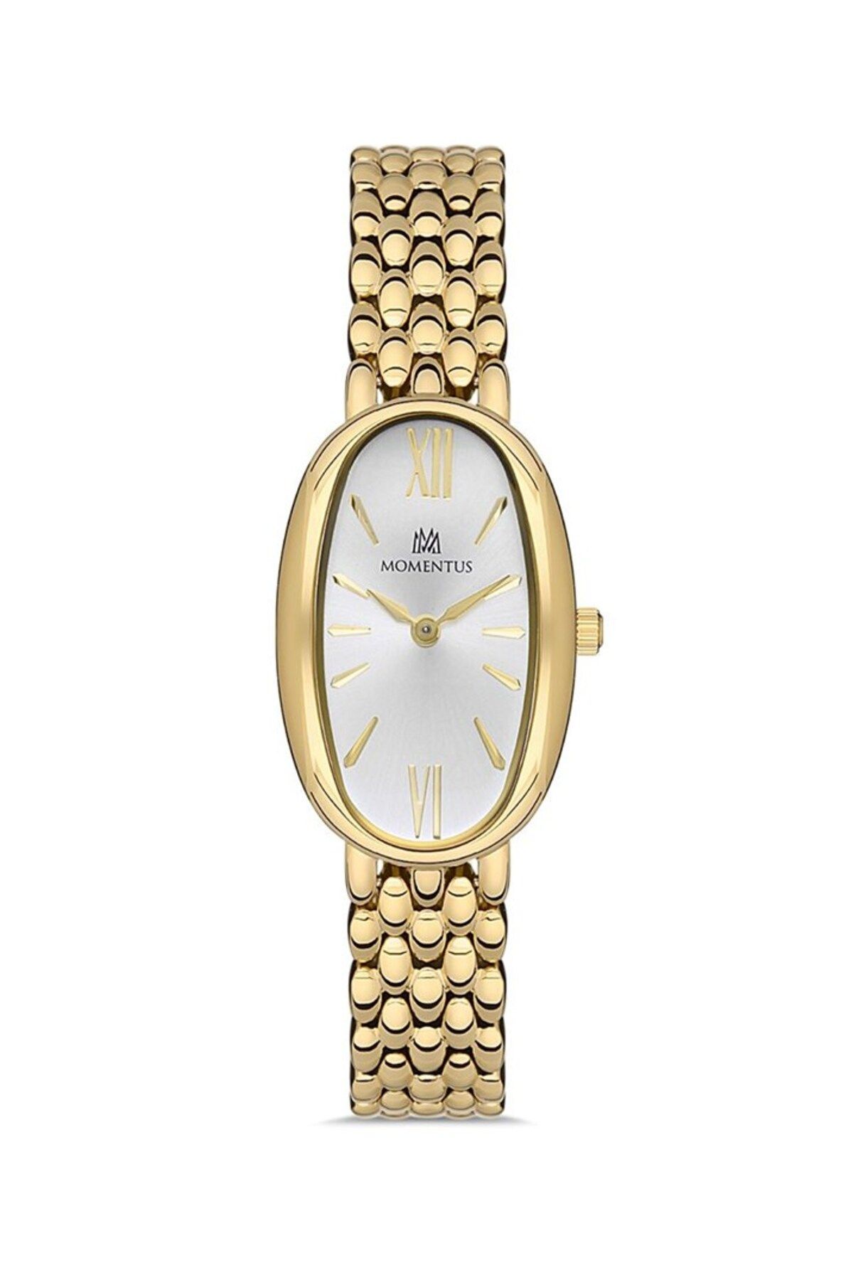Momentus-ساعة يد نسائية مومنتوس CW254G-02SG 1