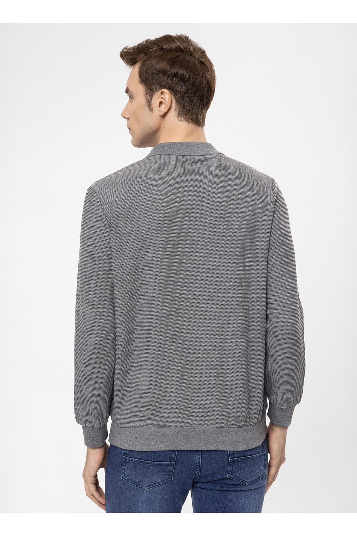 SÜVARİ-Cavalry Polo Collar Regular Fit Dobby Anthracite Men's Sweater TR2013700314 6