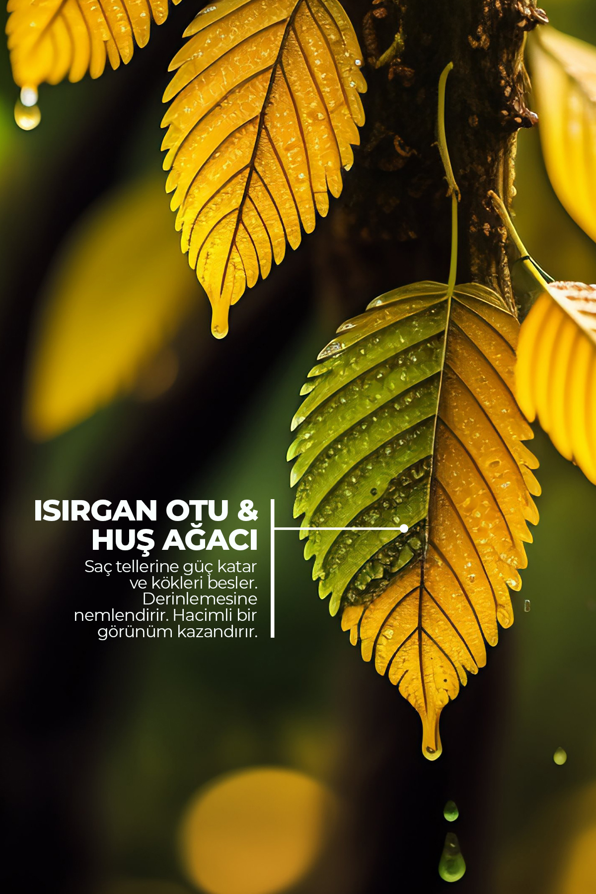Energy Stimulating Dökülme Önleyici Güçlendirici Serum Saç Bakım Serumu 100ml — ENERGYSERUM — تصویر 3 از 7