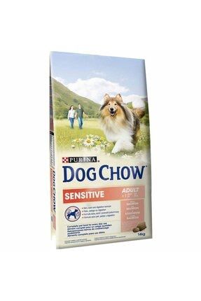 Dog Chow Somonlu Hassas Yetişkin Köpek Maması 14 kg idili0000000014980