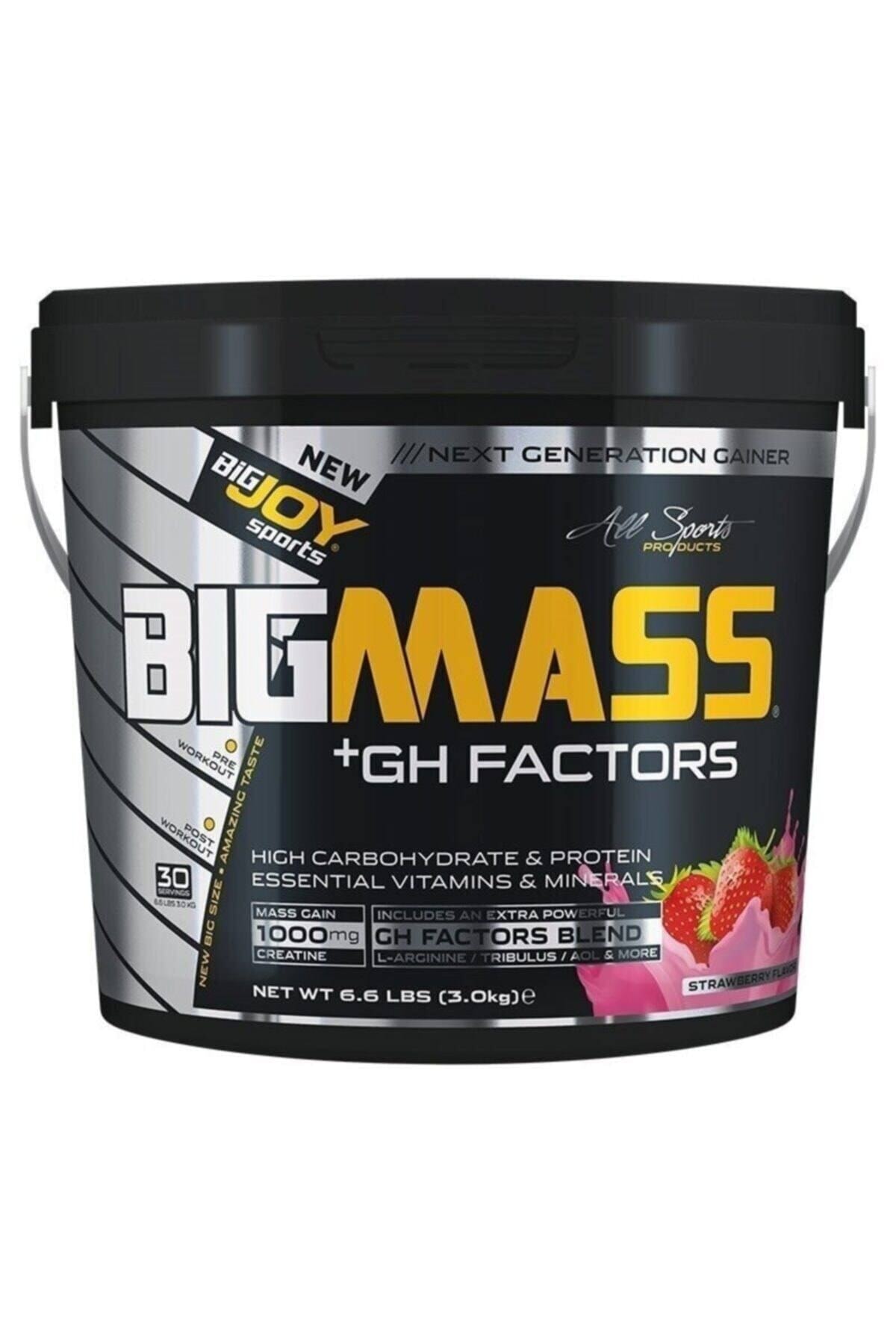 Bigjoy Big Mass Gh Factors 3000 gr - Çilek Aroma