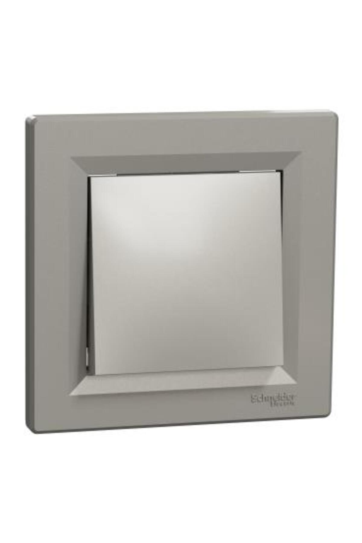 Schneider Electric Schneider EPH0100169 Asfora Bronz Çerçevesiz Anahtar