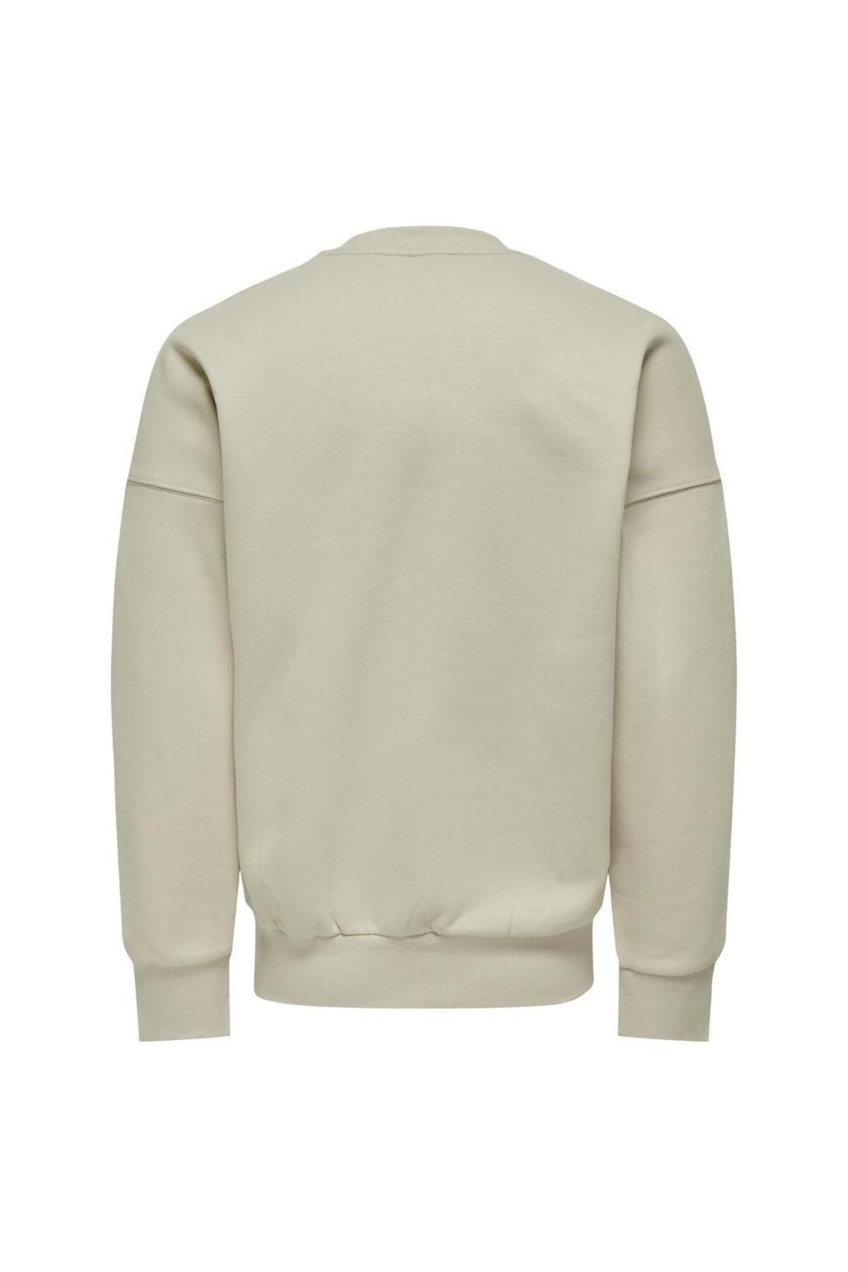 ONSDAN LIFE RLX HEAVY SWEAT CREW NOOS Only & Sons