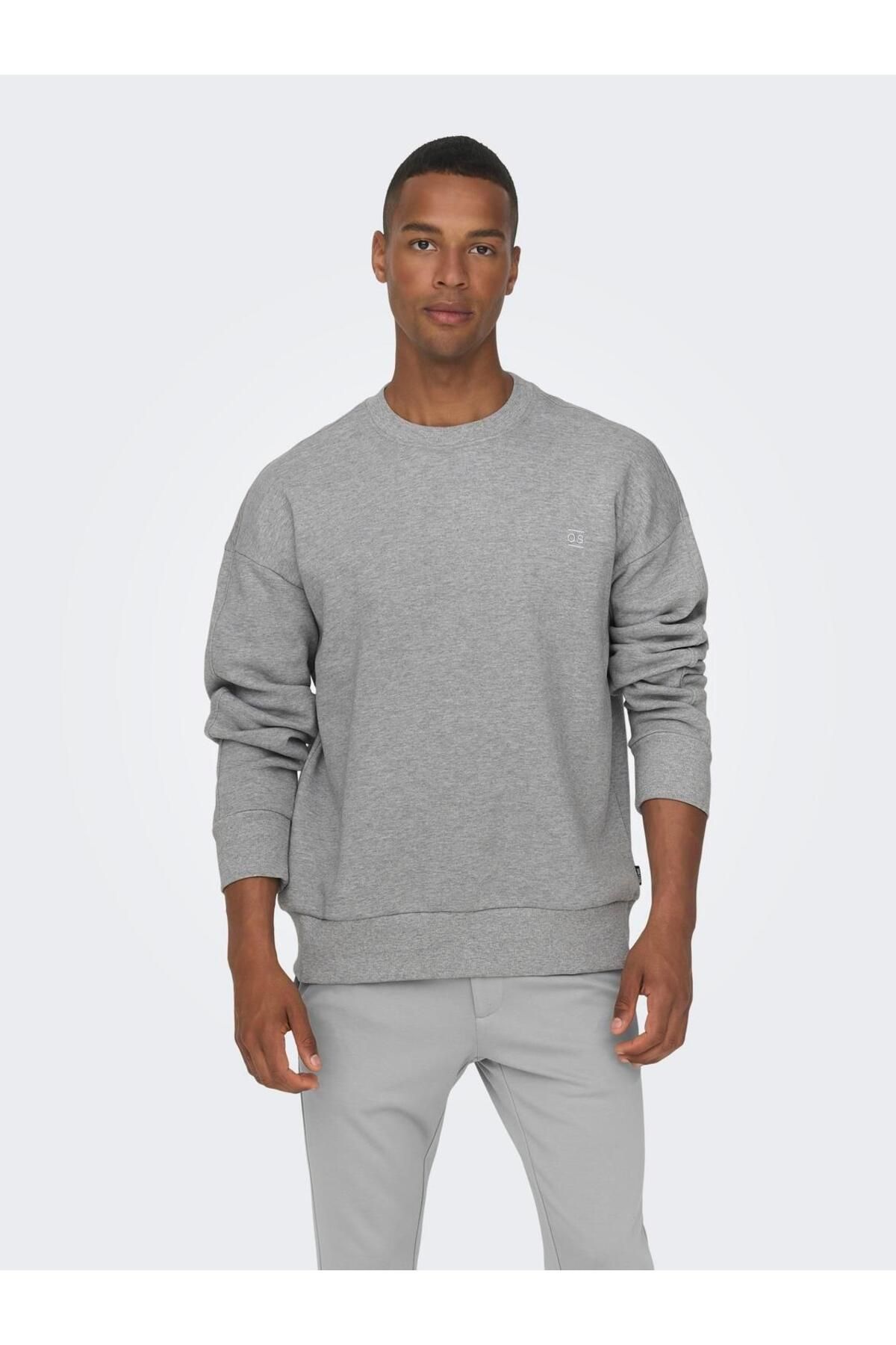 ONSDAN LIFE RLX HEAVY SWEAT CREW NOOS Only & Sons