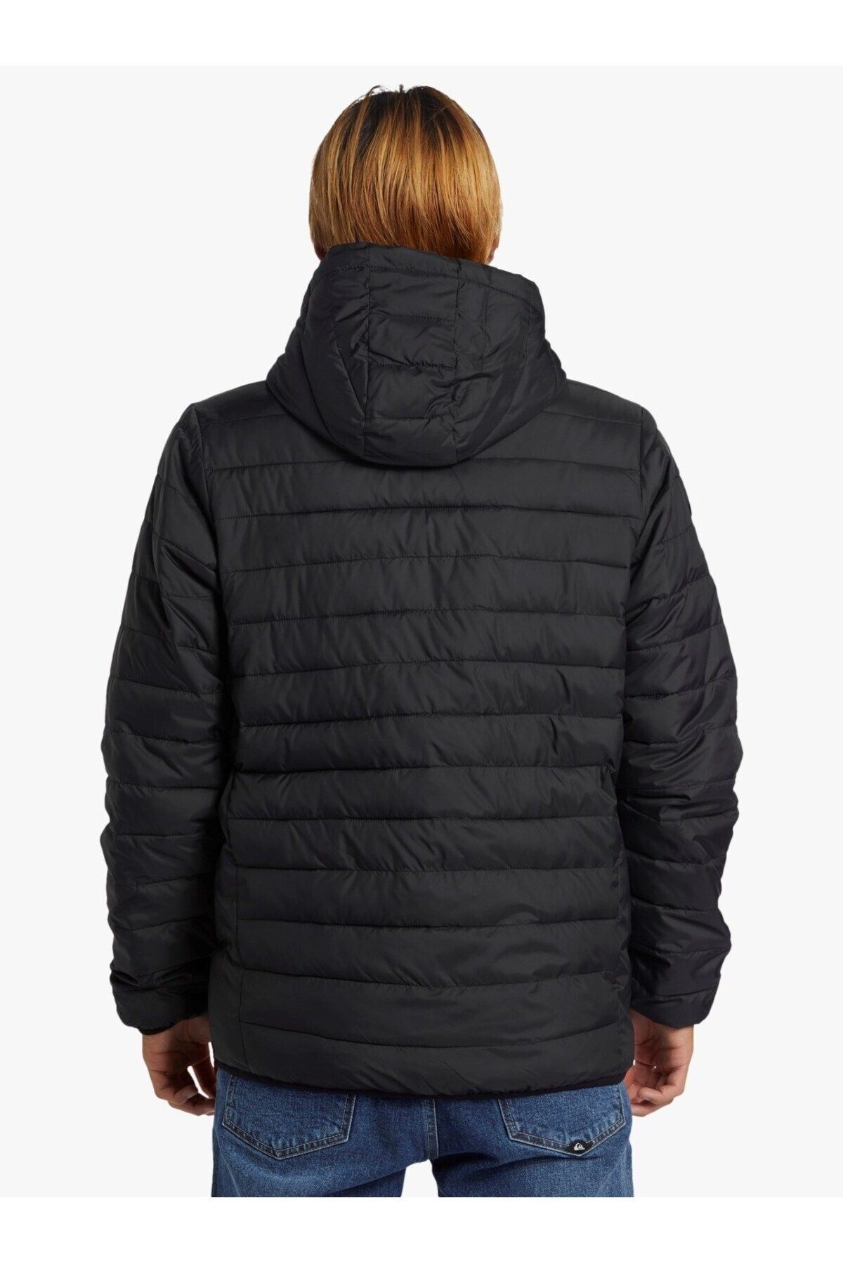 Scaly quiksilver online
