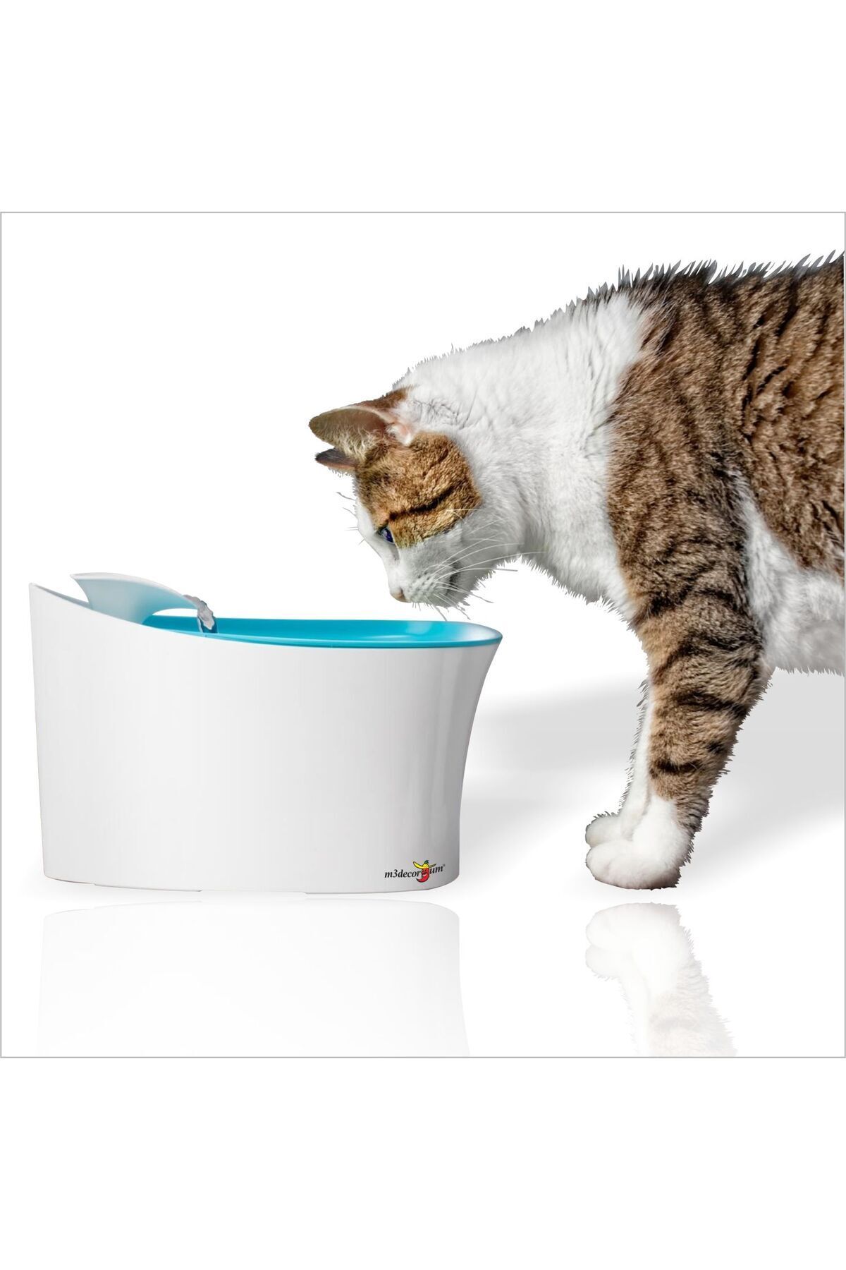 Pet bird shop water fountain