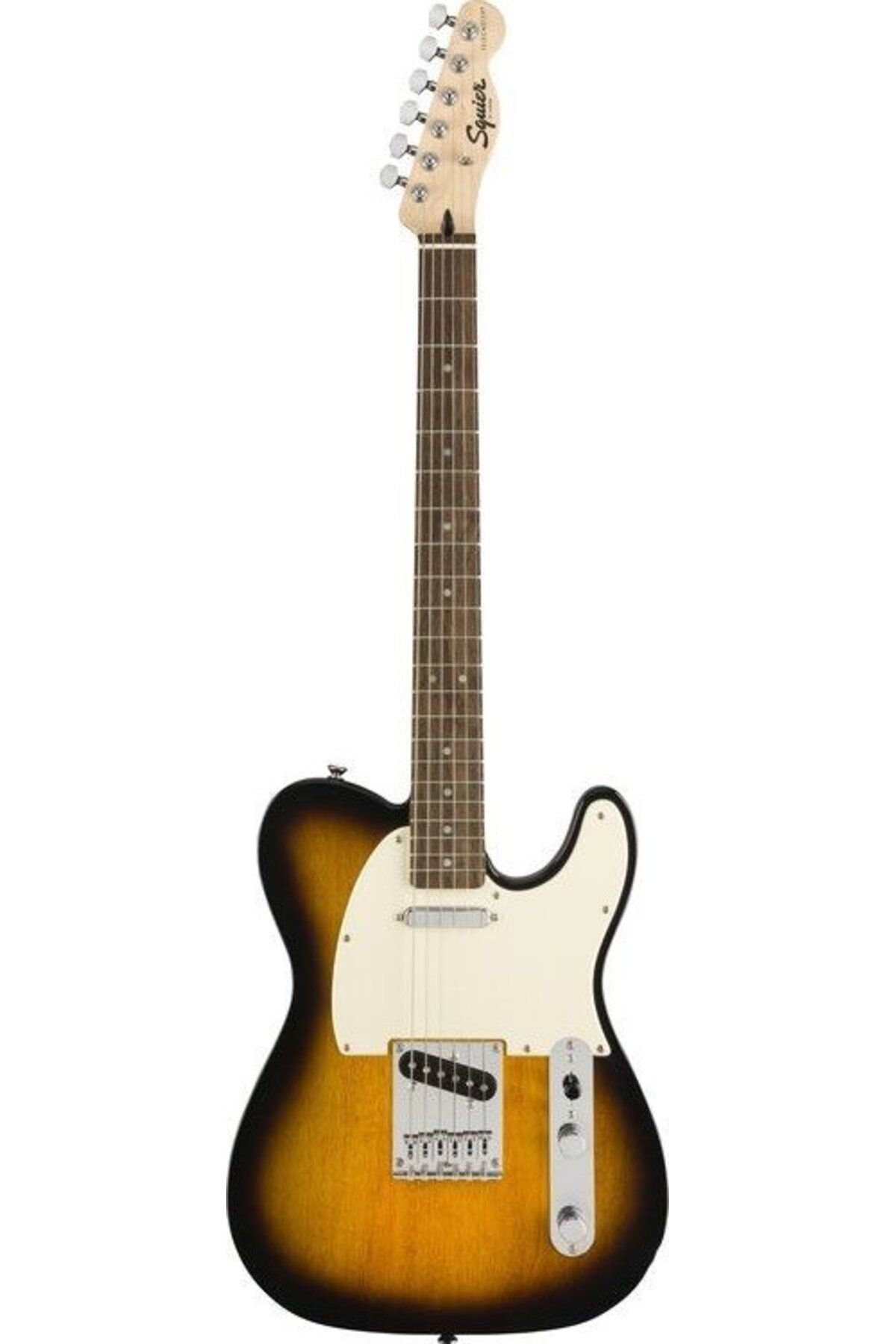 Squire shop bullet tele
