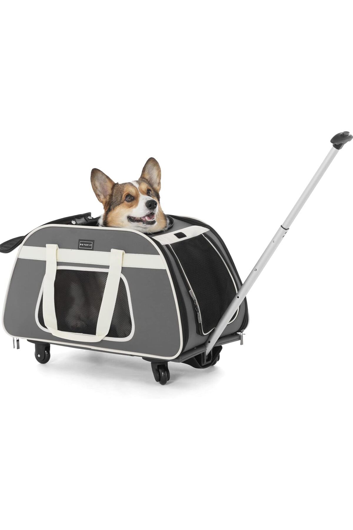 Petsfit pet hot sale carrier