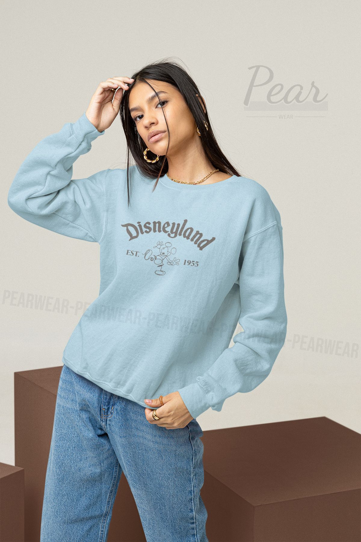 Disneyland clearance sweatshirt womens