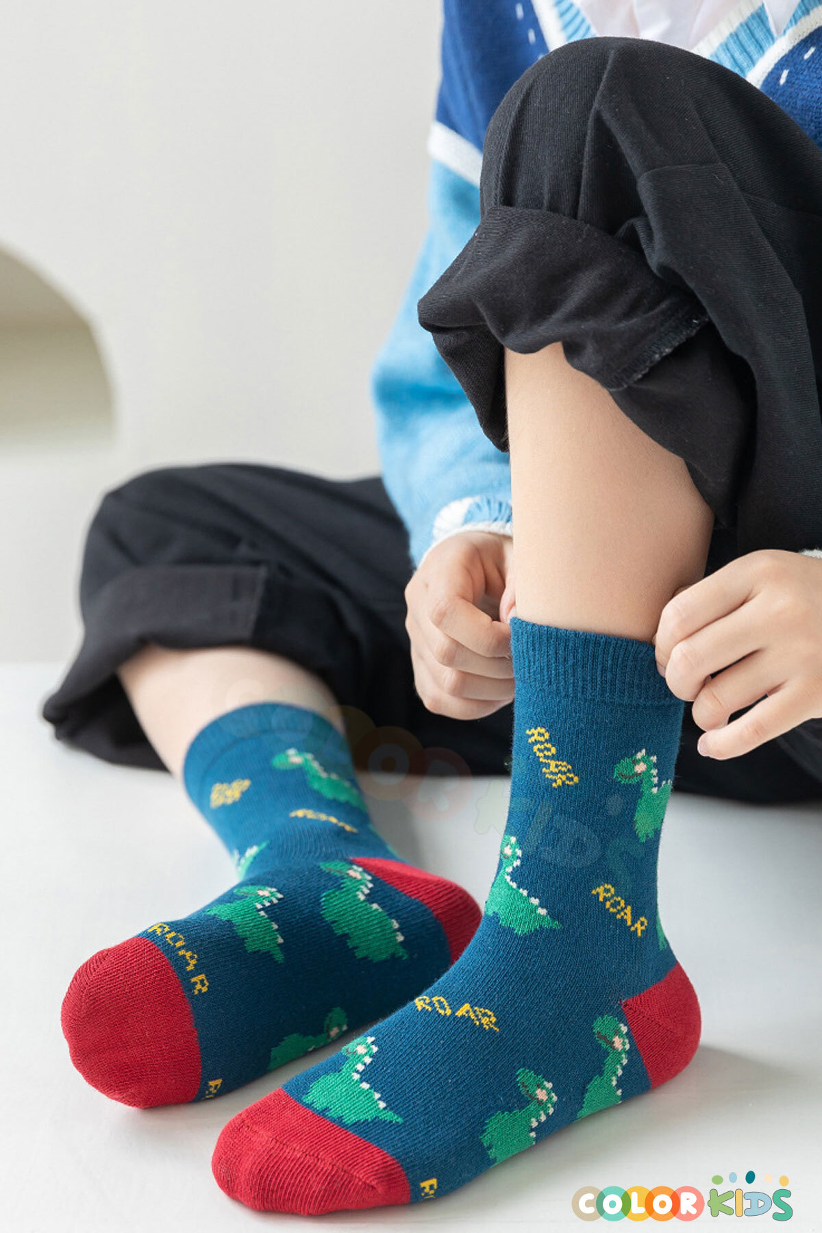 Color Socks 5 Çift Dinozor Çocuk Çorap Seti (Comfort Kids) fotoğrafı 6 (önizleme)