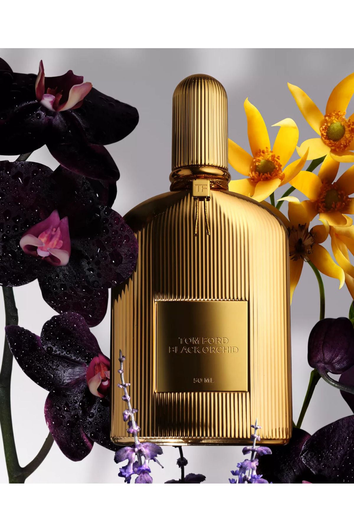 عطر ارکیده سیاه 50 میلی لیتر Tom Ford