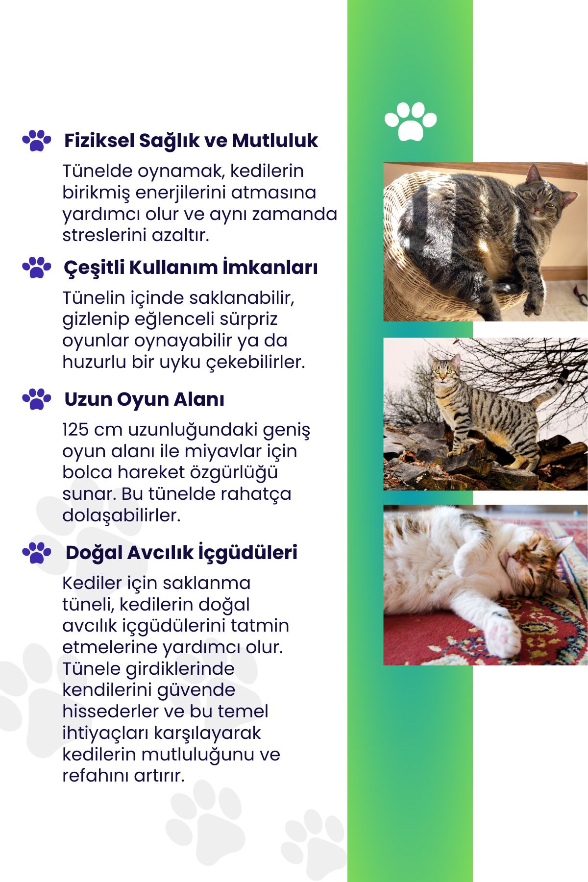 Miyav Katlanabilir Uzun Kedi Tüneli 125 Cm Oxford Kumaşlı Dayanıklı Tünel Renkli Desenli Kedi Oyun Alanı