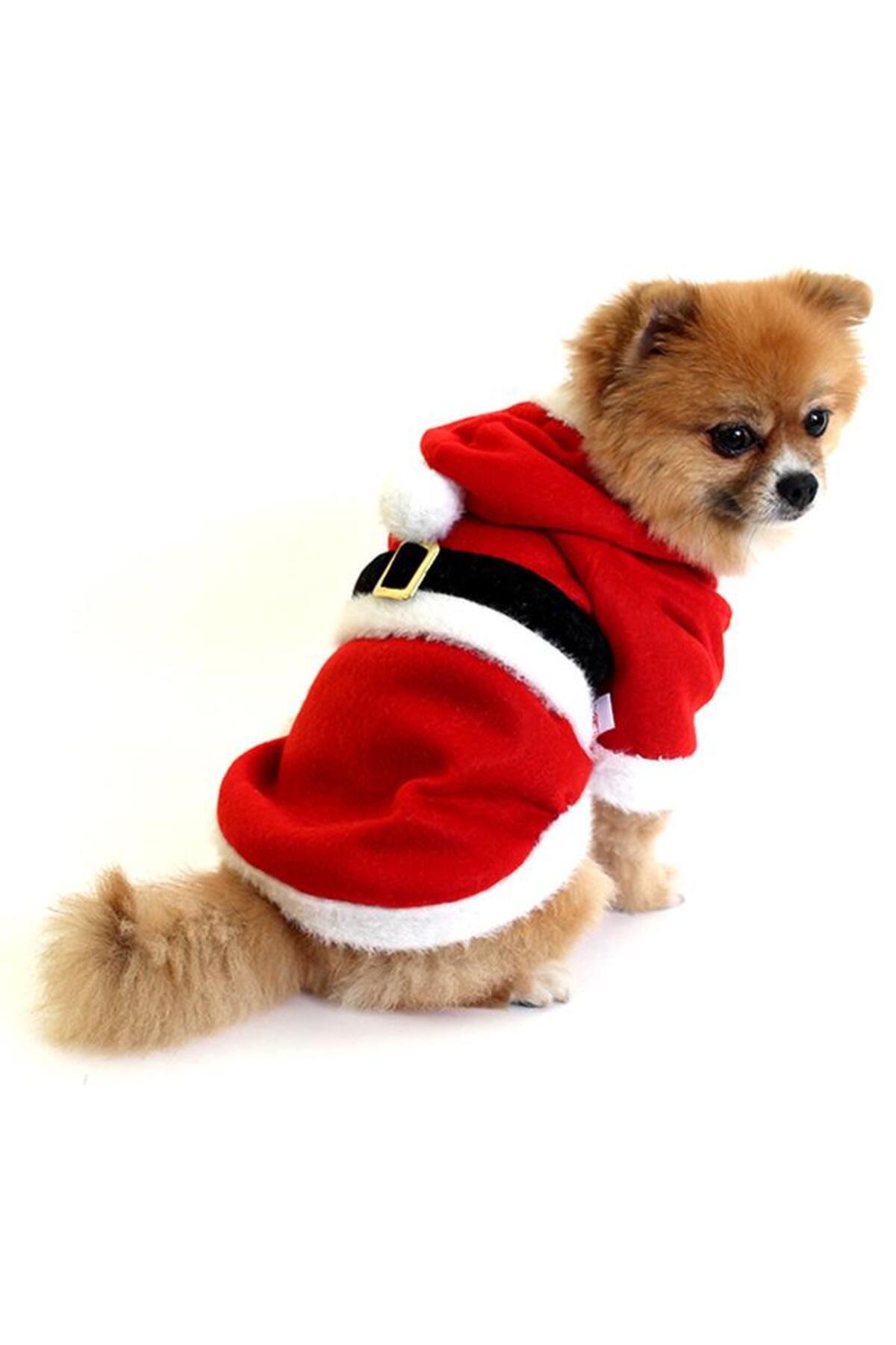 Noel Baba Çeket Orta Irk Köpeklere Uygun Polar XLarge