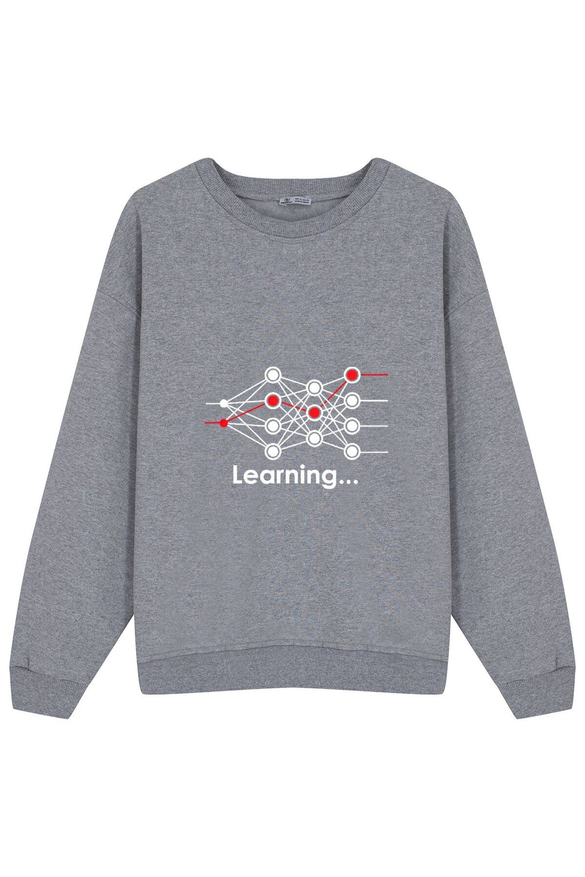 GreenMint-Unisex Oversize Sweatshirt Data Science Neural Network Learning Machine Learning gift 1