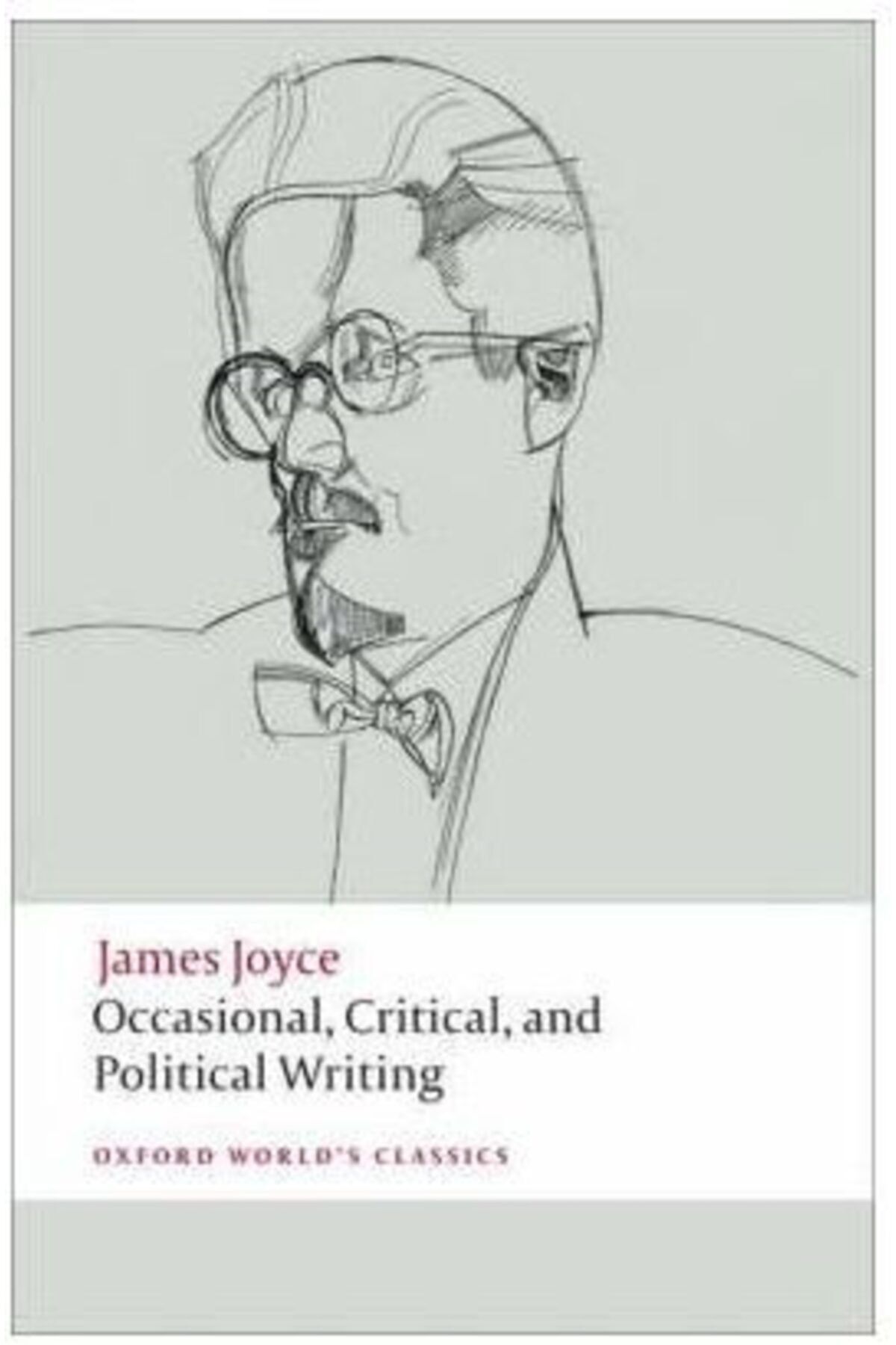 Arkadaş Yayıncılık Occasional, Critical & Political Writing