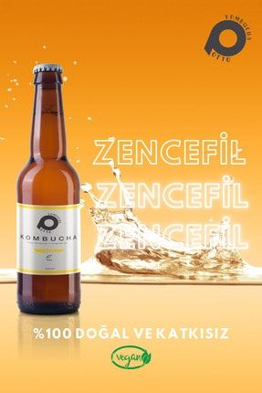 Zencefil'li- 6 Adet 330ml