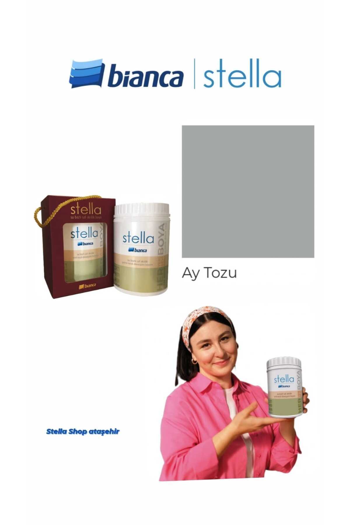 Bianca Stella Su Bazlı Saf Akrilik Boya 1lt - Ay Tozu