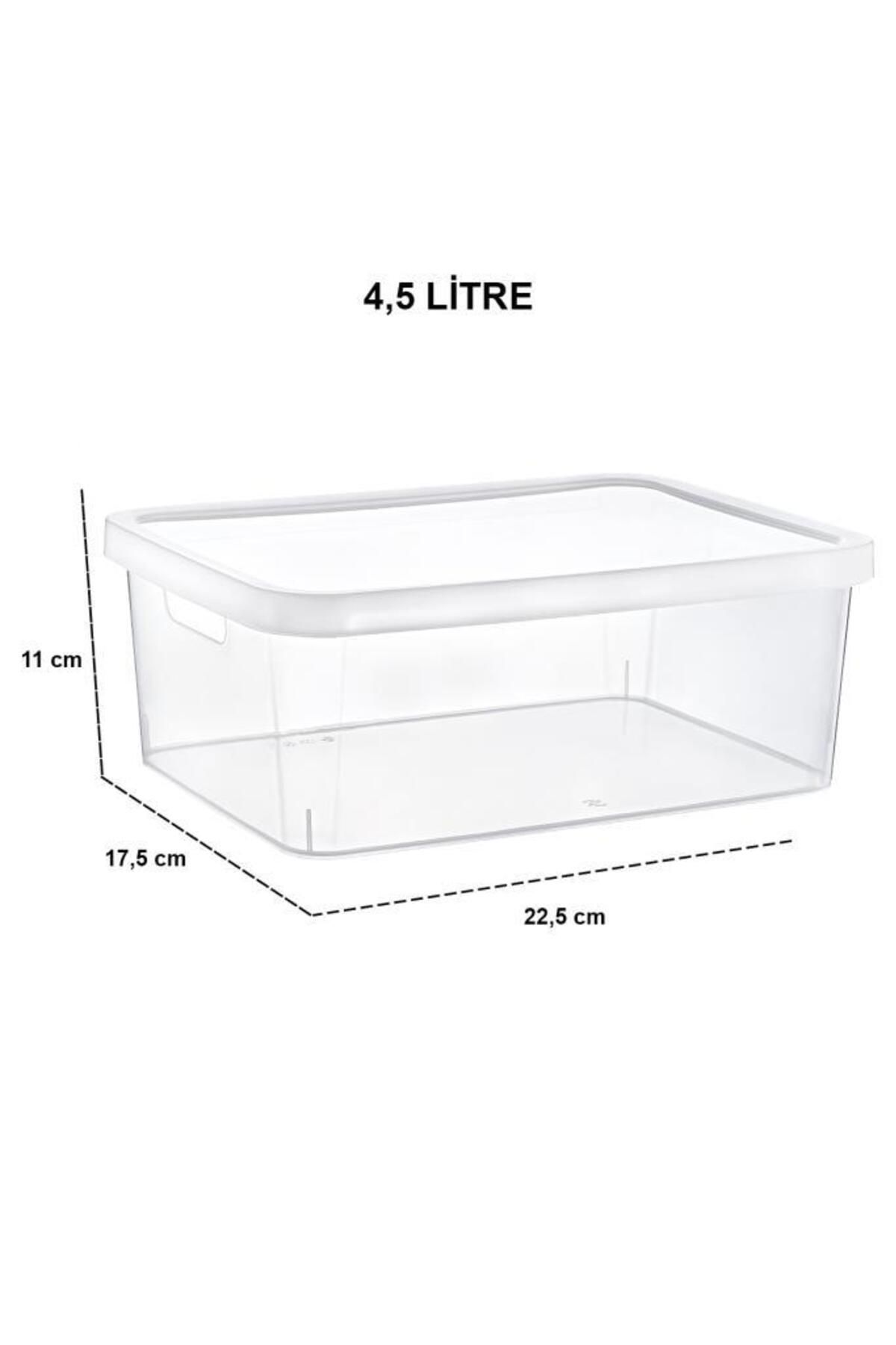 Smartware-Stafi Multi-Purpose Box with Lid 4.5 Lt Set of 4 Transparent 2