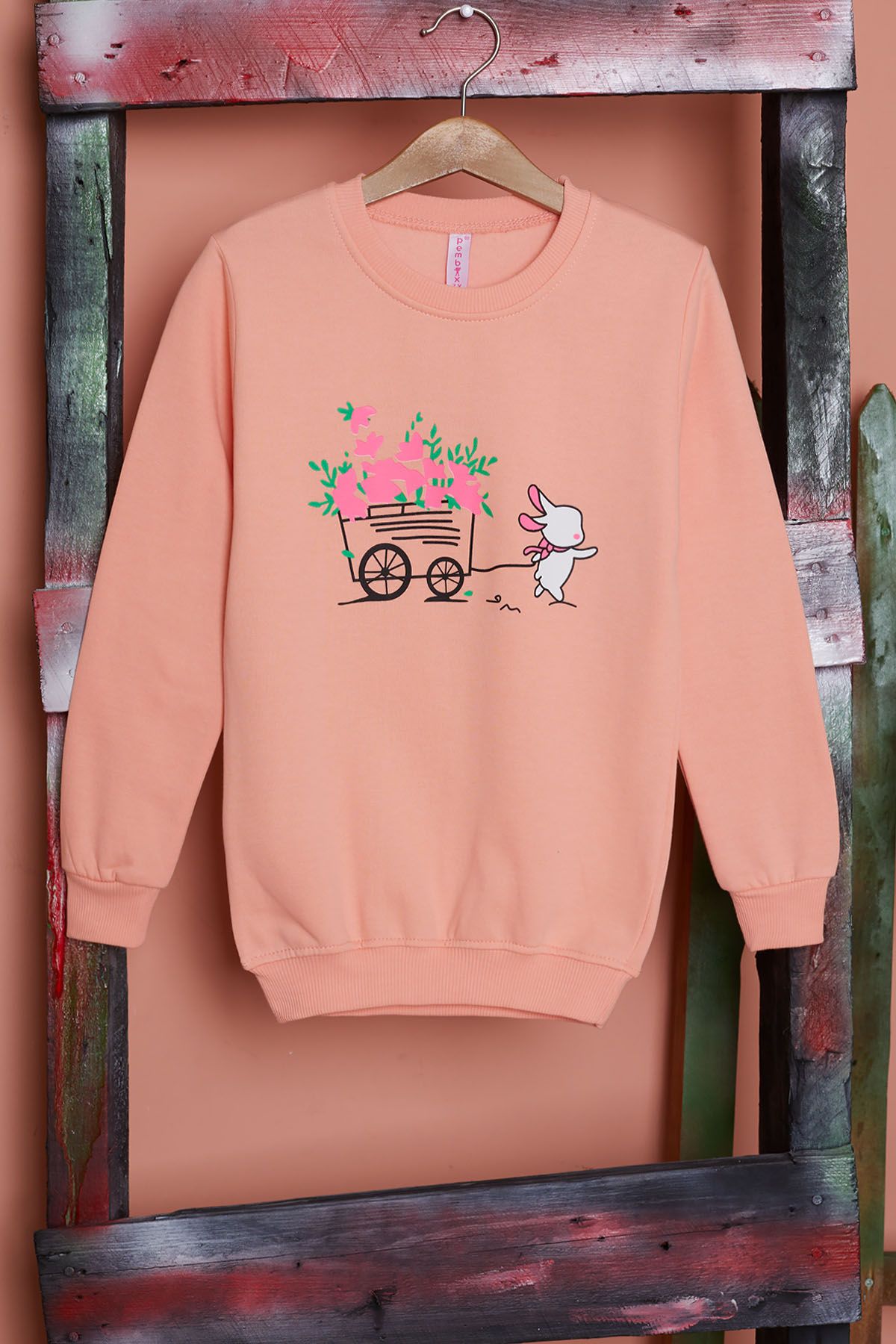 Salmon hot sale pink sweatshirt