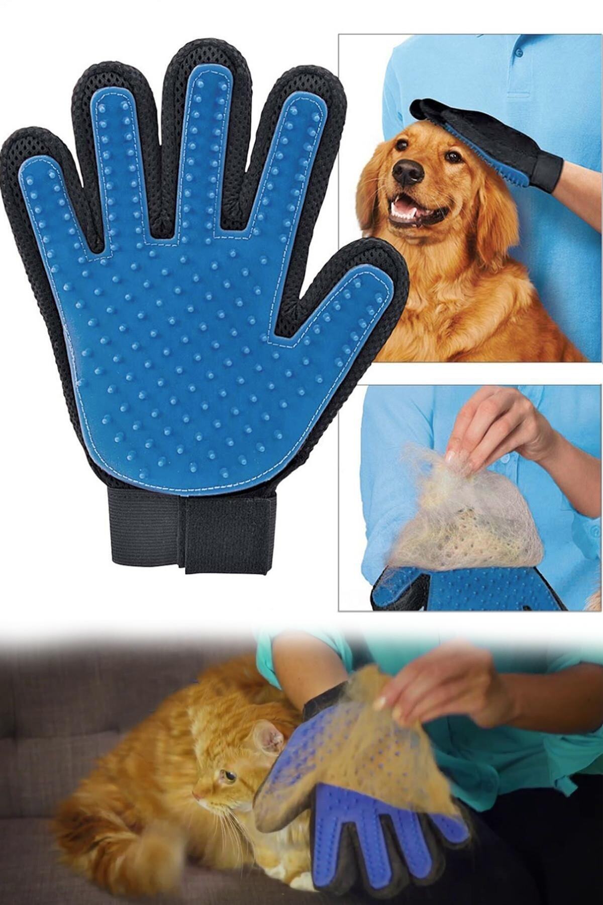 Genel Markalar Kedi Köpek Tüy Toplama Eldiveni Mavi