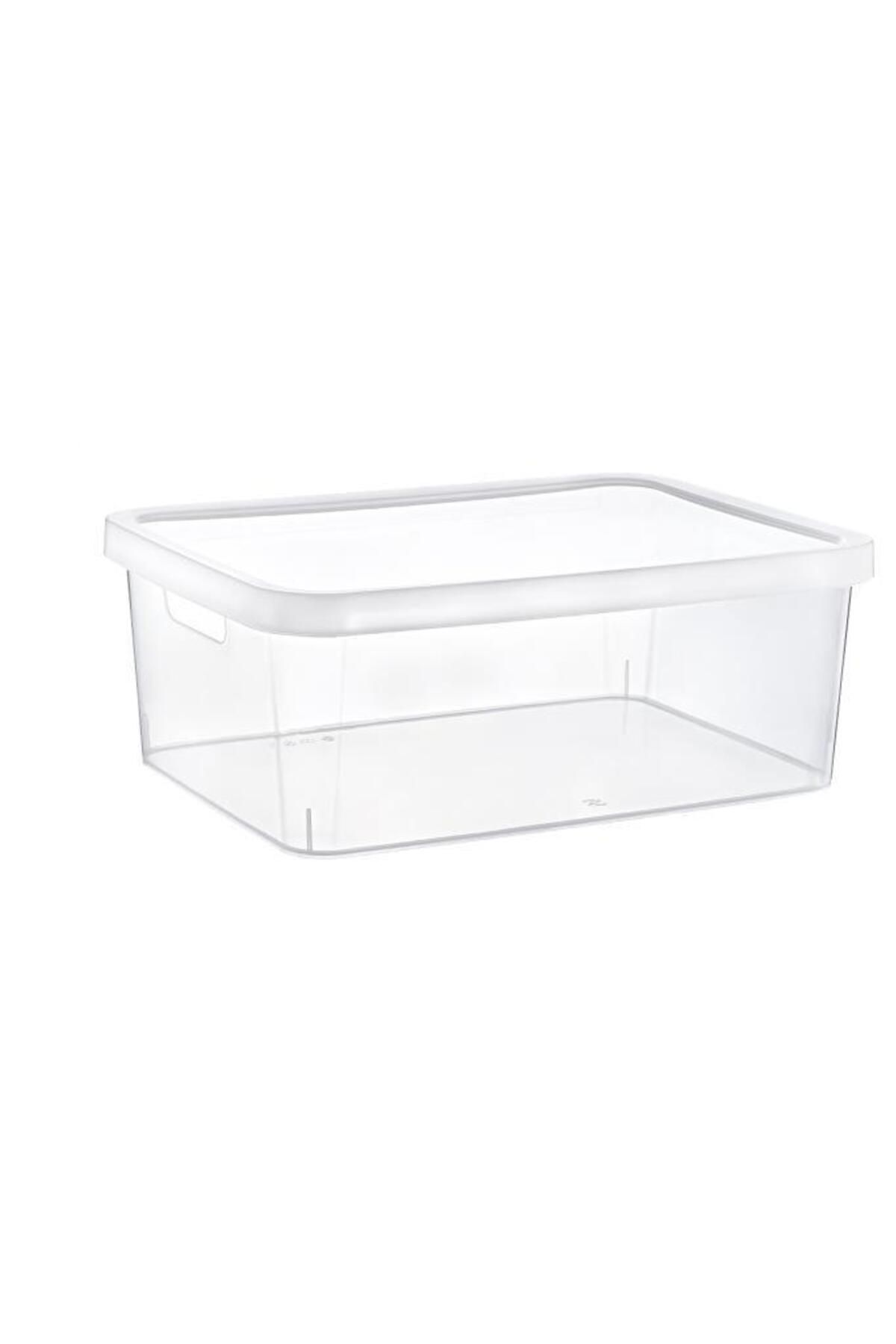 Smartware-Stafi Multi-Purpose Box with Lid 4.5 Lt Set of 4 Transparent 3