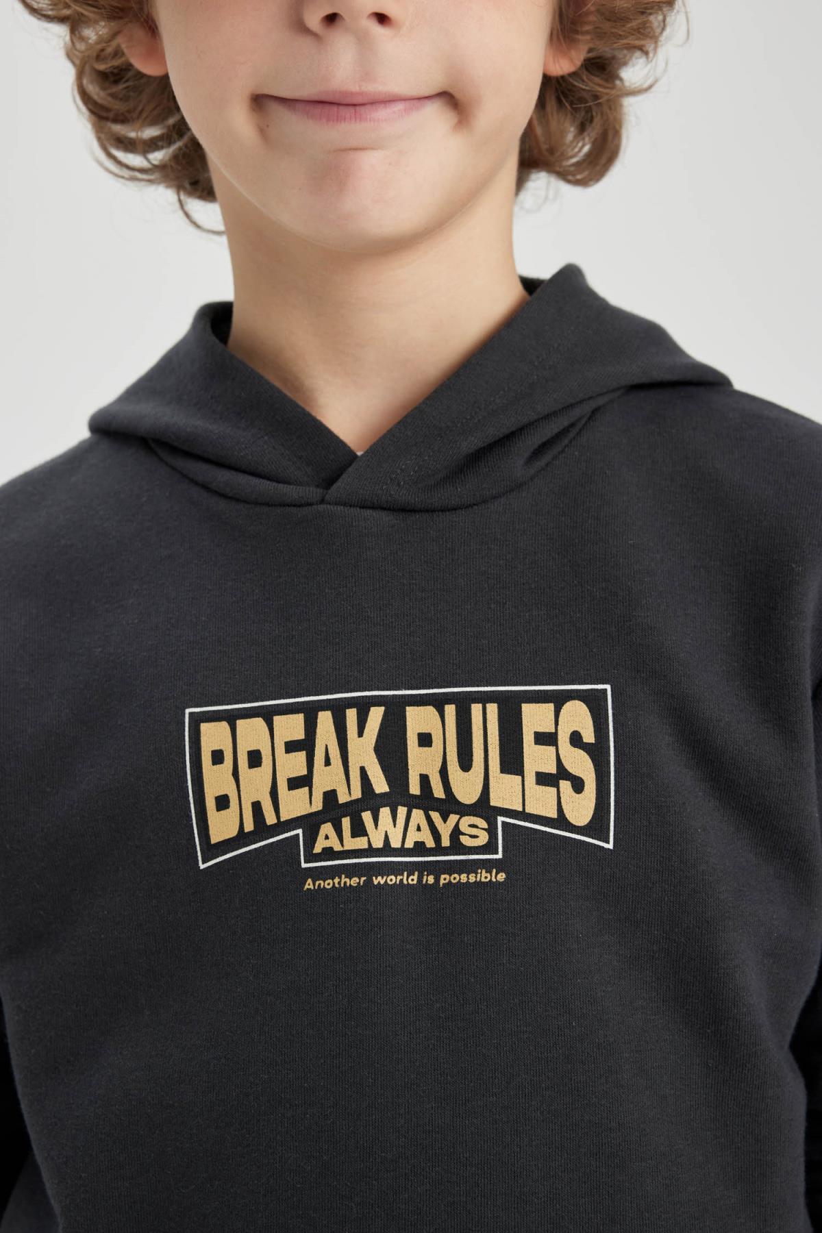 سویشرت پسرانه دفاکتو | B8991A823CW Defacto - Image 5