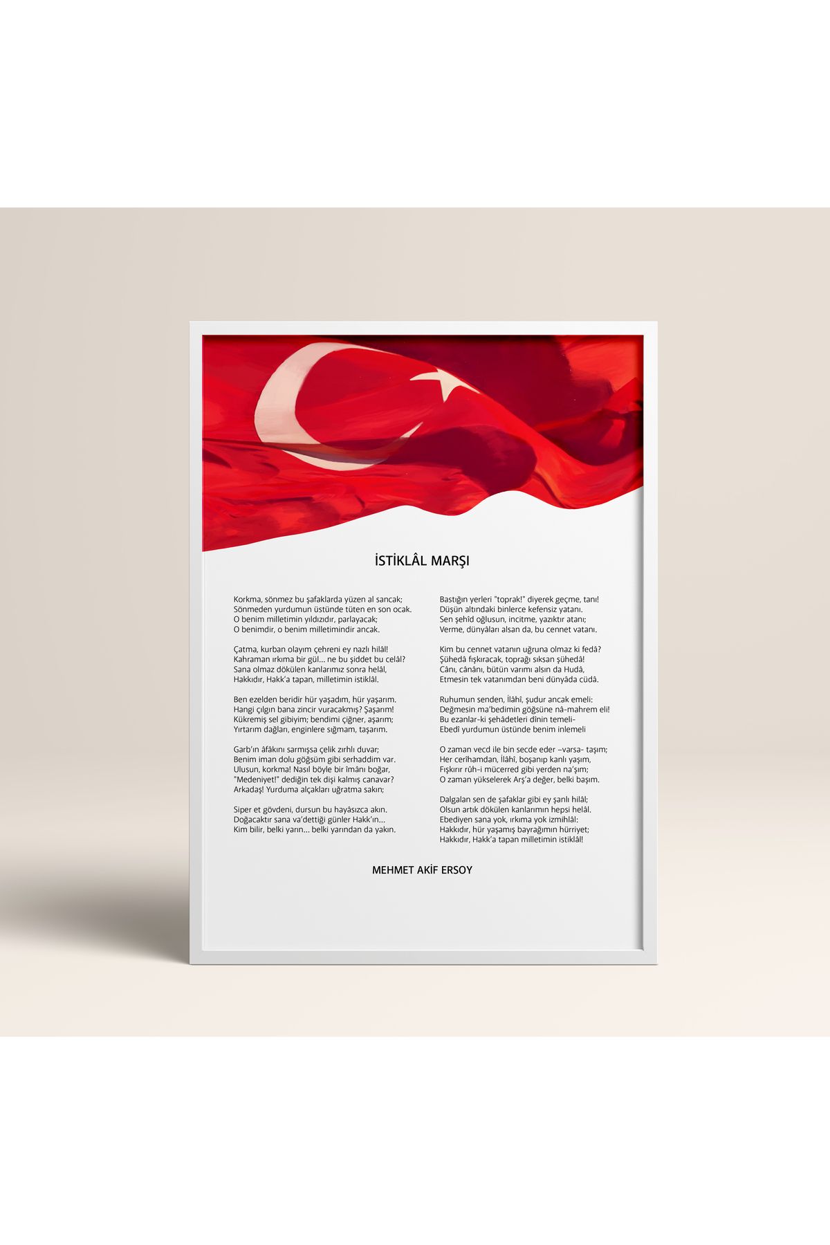 HOMEPACK-Set of Two Framed Independence Anthem, Youth Address Table Poster Set Double13 2