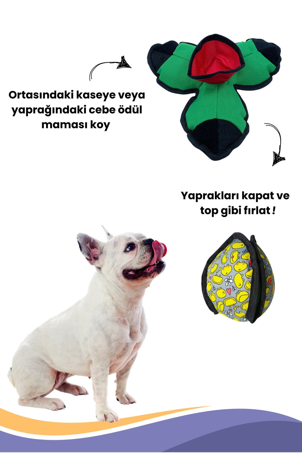 Gibi dog new arrivals