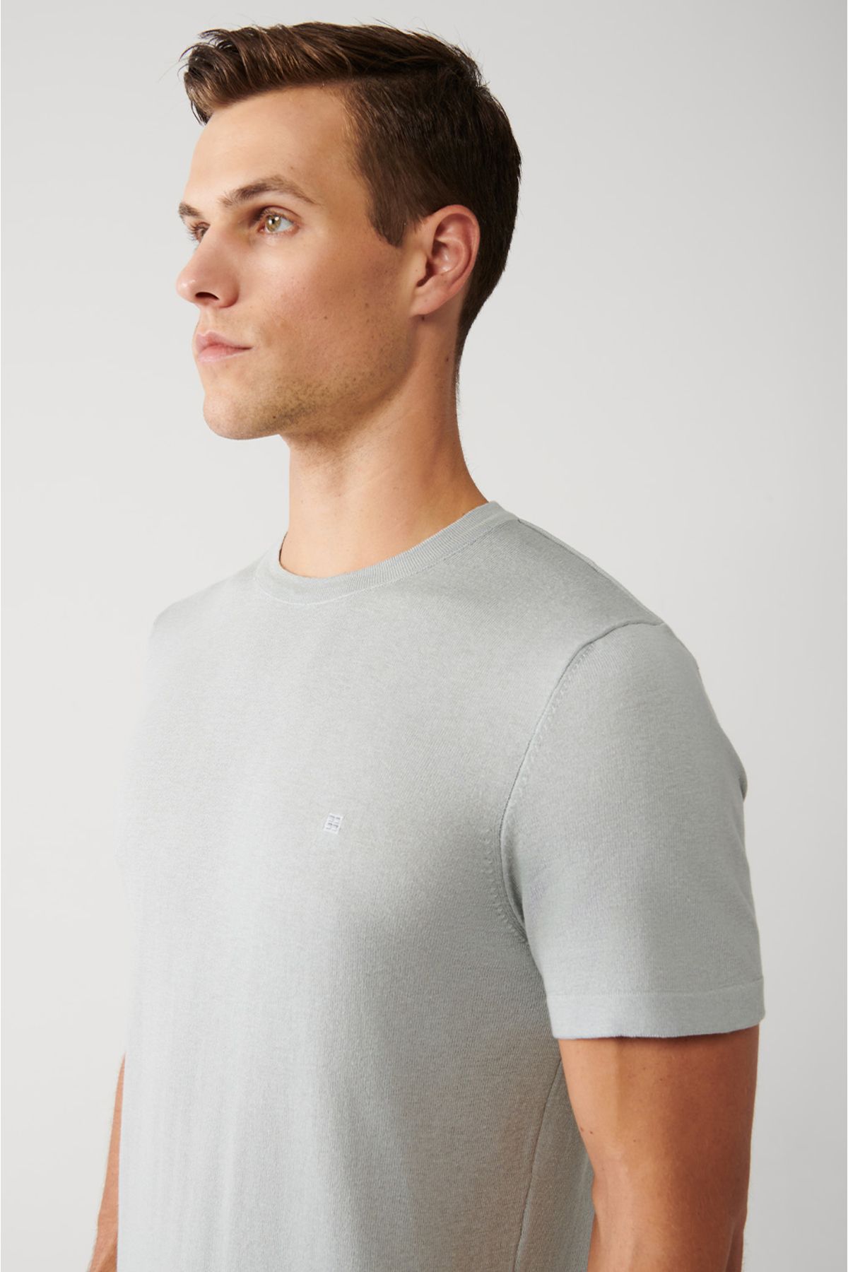 Avva تی شرت بافتنی نازک یقه خاکستری مردانه با تناسب استاندارد برش معمولی E005011