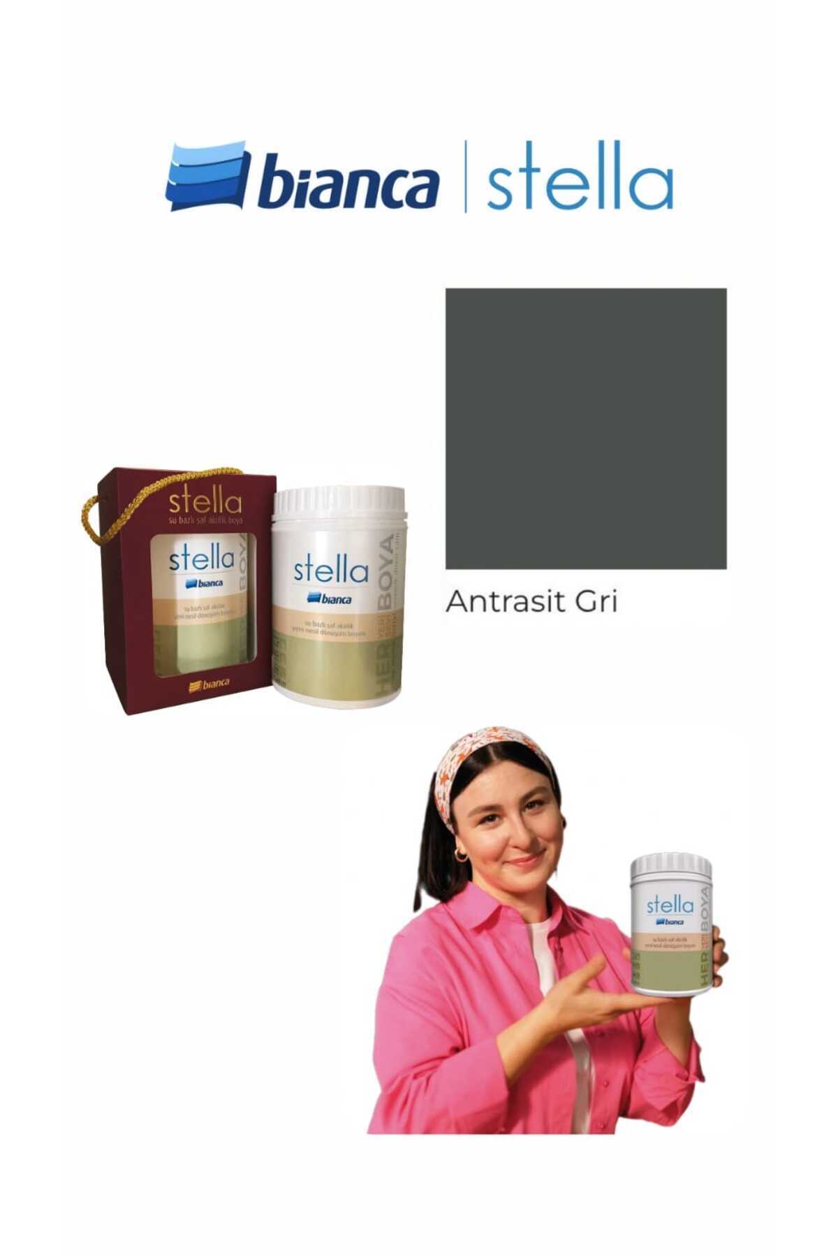 Bianca Stella Su Bazlı Saf Akrilik Boya 500ml - Antrasit Gri