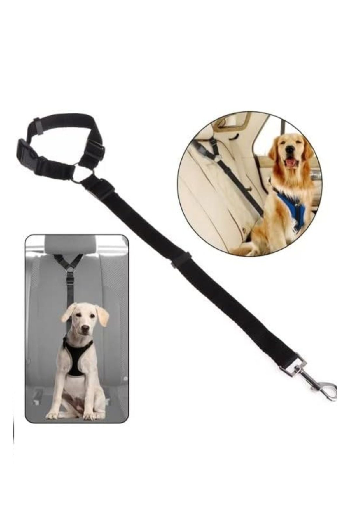 Pet belt shop