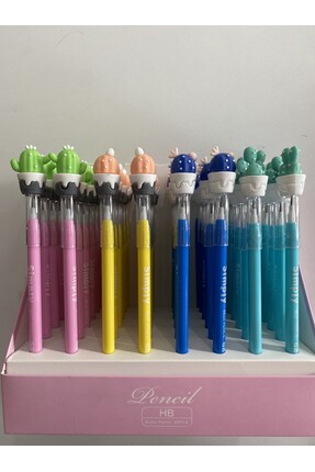 FOUR Yumurtlayan Kalem Kaktüs Başlık 4 Adet