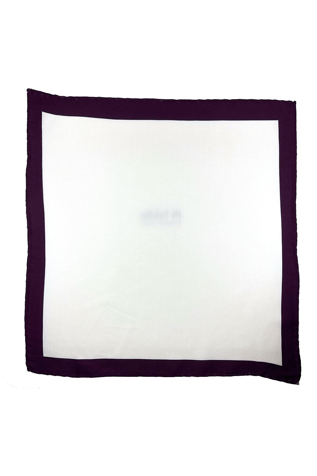  دستمال جیبی مردانه ساده سفید - بنفش SPS651-129