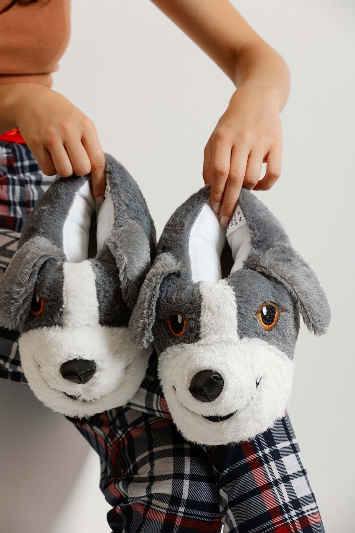 Collie slippers 2025