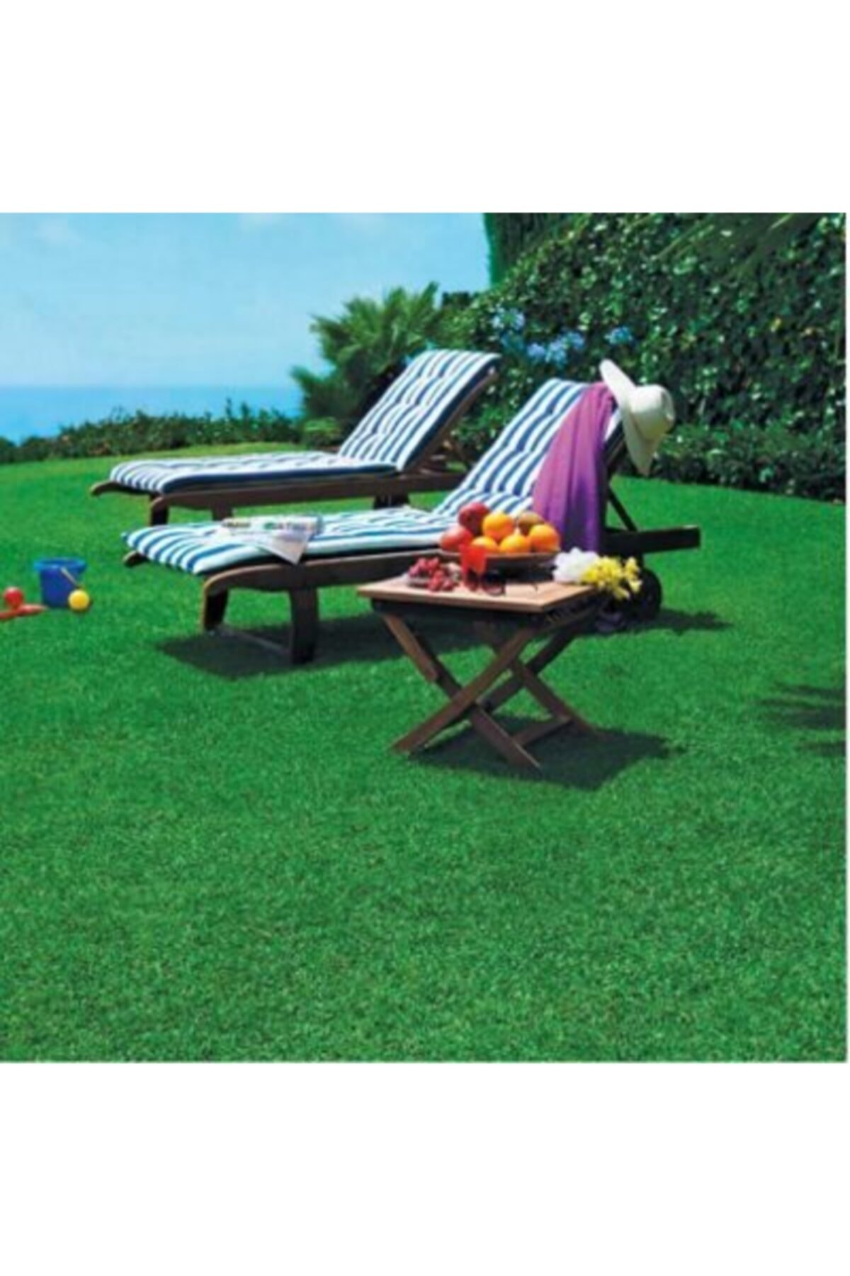 Grass Seed 6-Piece Mix 1kg Hot Climate Salt Water Moisture Resistant Sun Resistant.