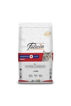 felicia sterilised somonlu yetiskin
