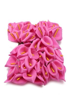 15cm Lateks Fuşya Renk Gala Çiçeği 72 Adet 99362