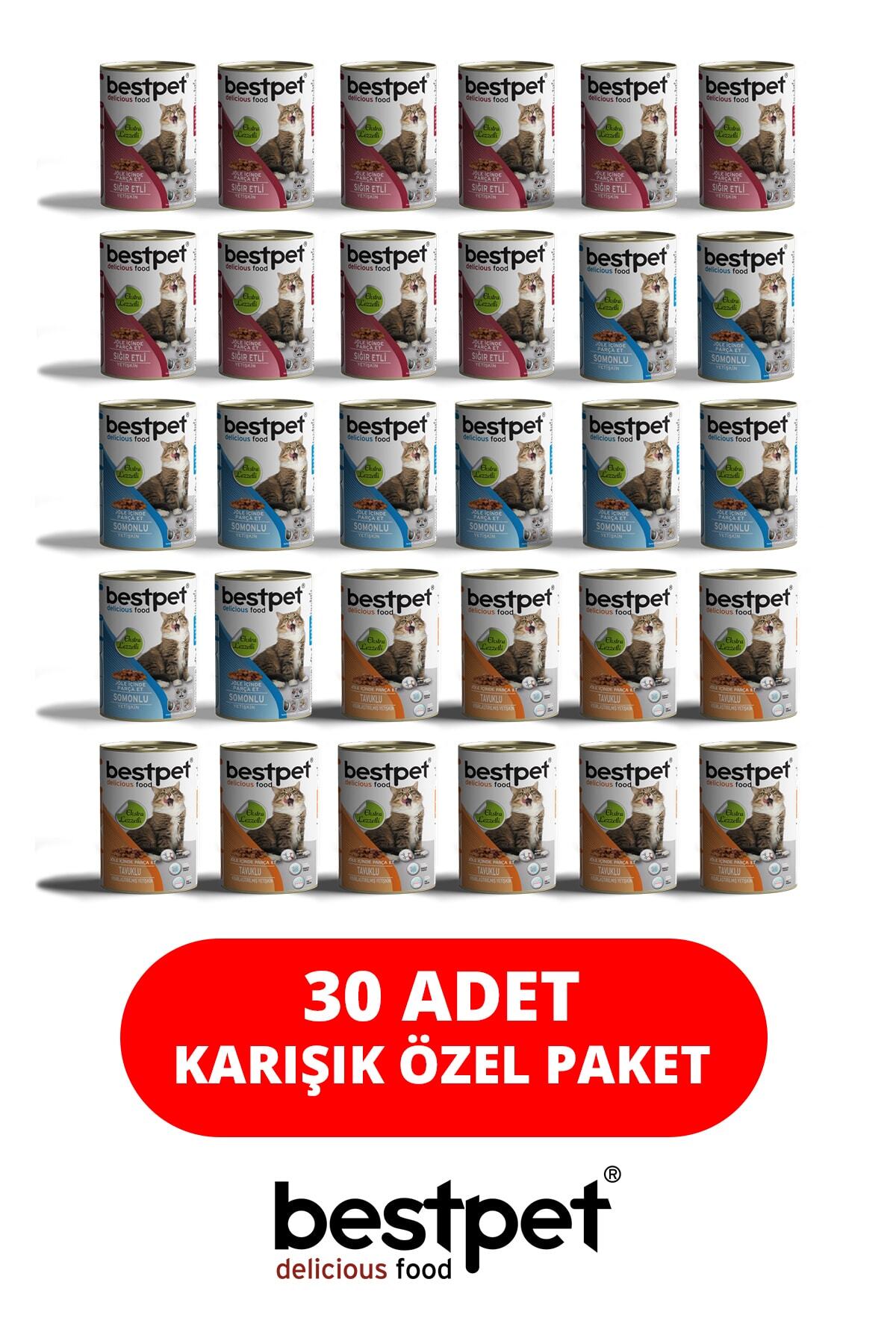 Bestpet Karışık Aromalı Özel Paket Kedi Konservesi 30 Adet