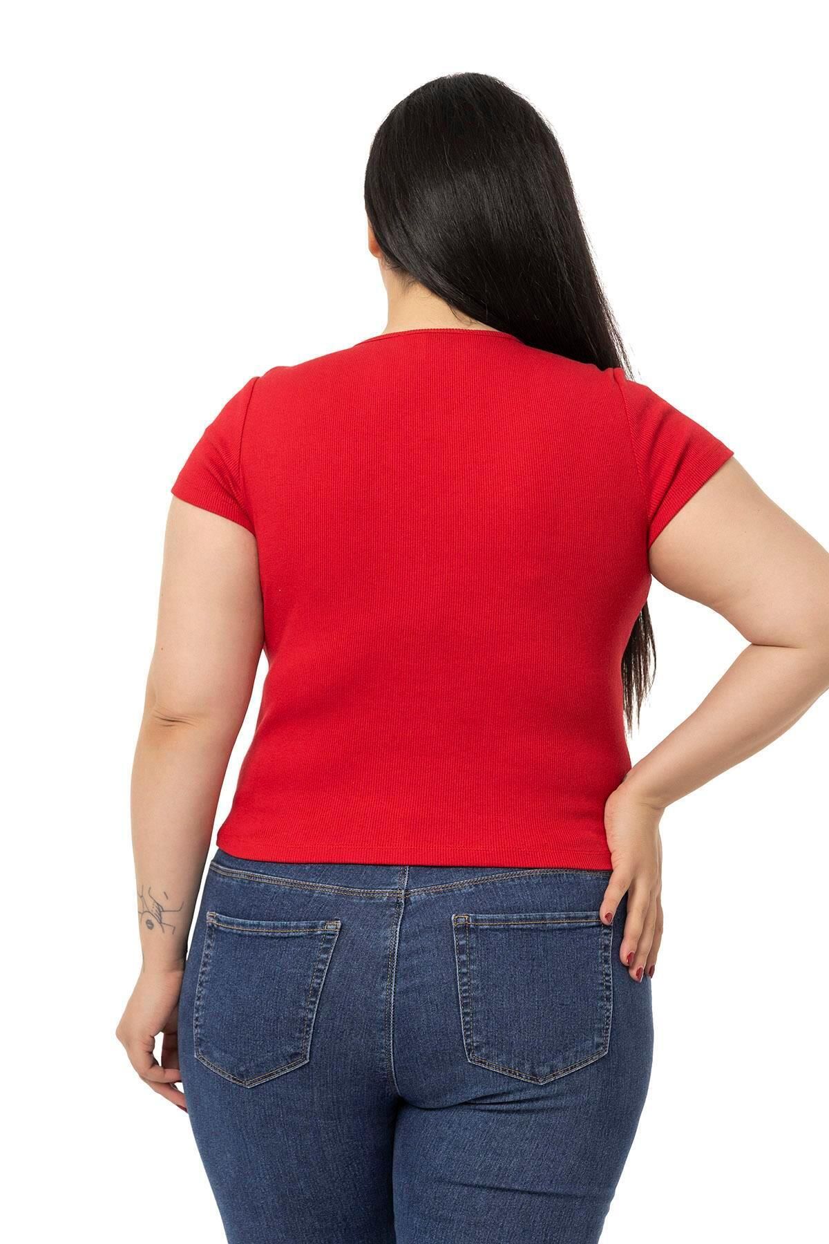 DISENTIS MODEST-Plus Size Half Sleeve Camisole Red Body with Lace Detail on the Chest 3