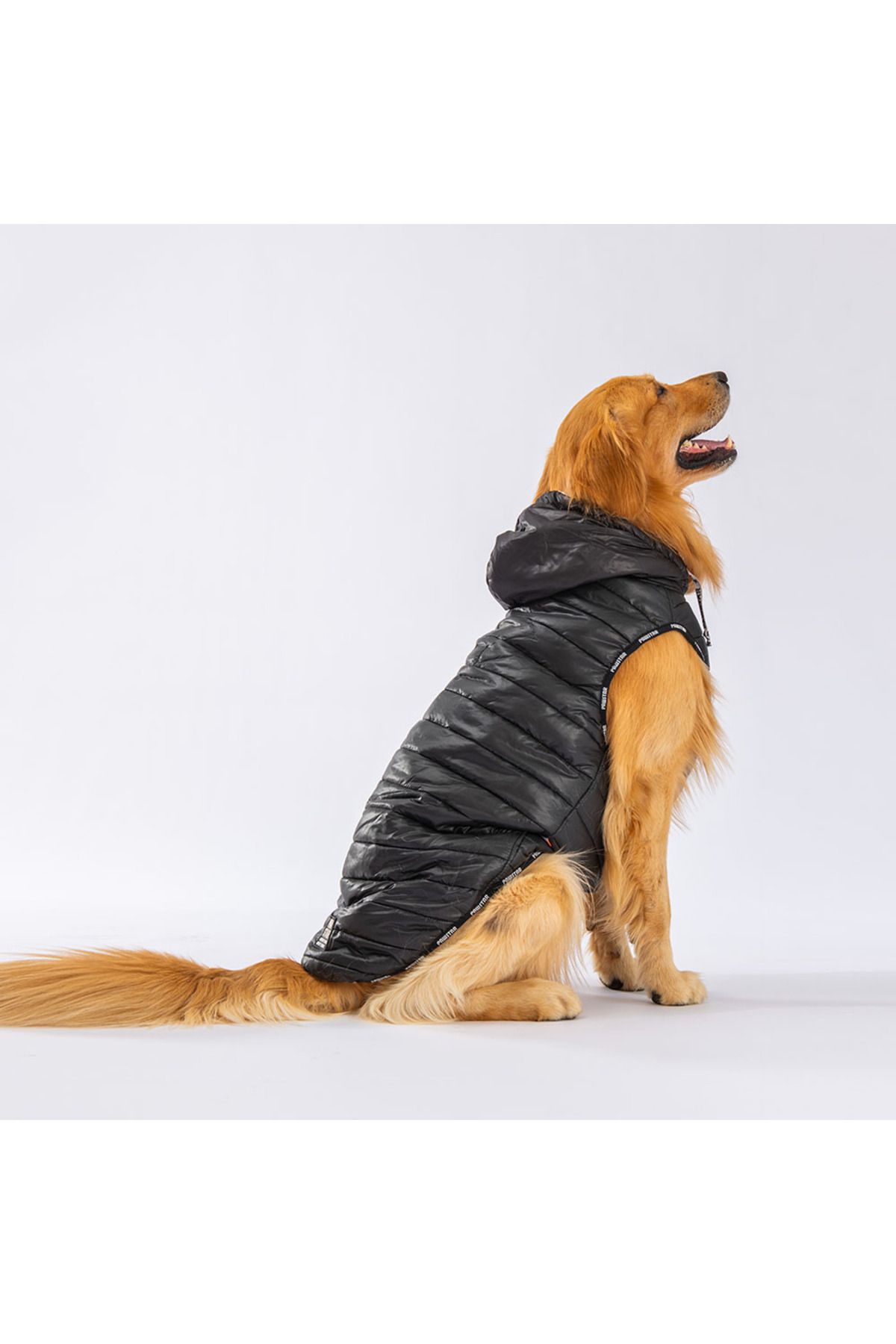 Pawstar Railway Anorak Vest Dog Raincoat 23151 برای نژادهای متوسط ​​و بزرگ