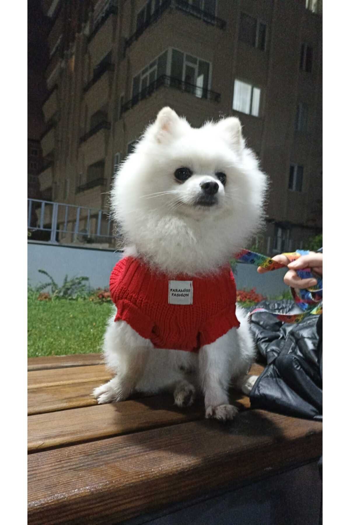SELANİK ÖRGÜ KIRMIZI KÖPEK KIYAFETİ KÖPEK KAZAĞI KEDİ KIYAFETİ FRMSFSHN