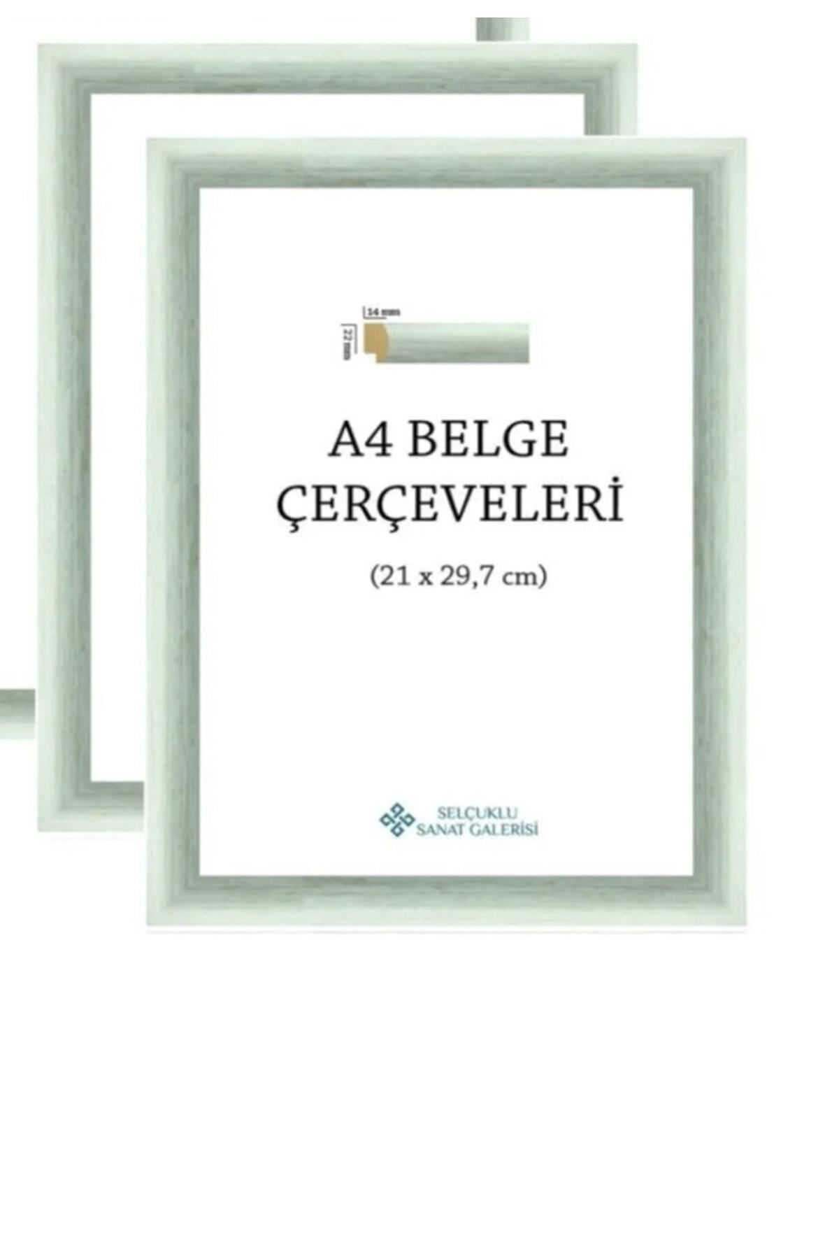 AS TİCARET-21x30 Document Document Certificate Frame Photo Poster Frame 1