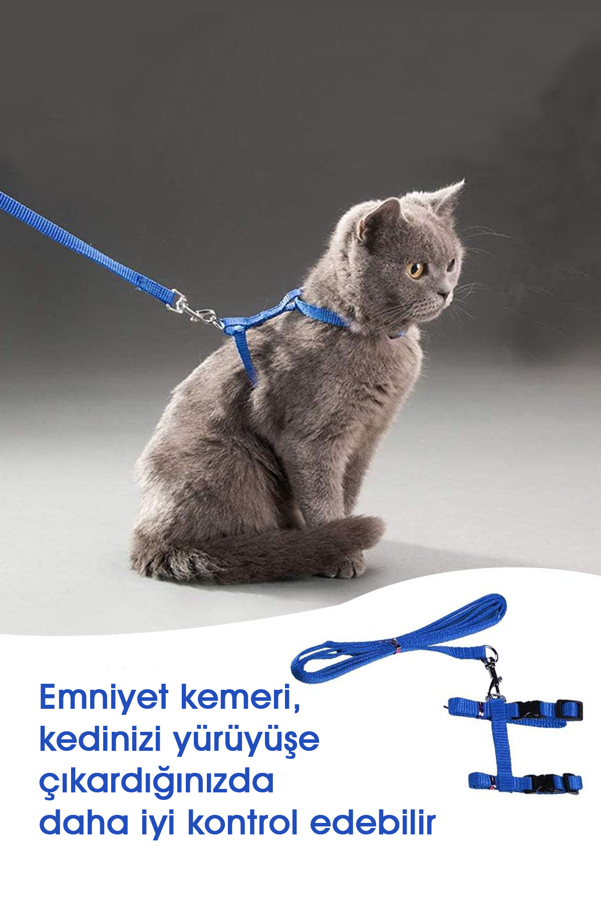Tasma KRİZANTEM Kedi Tavşan Yavru Köpek Göğüs Bel Ayarlanabilir Gezdirme ...