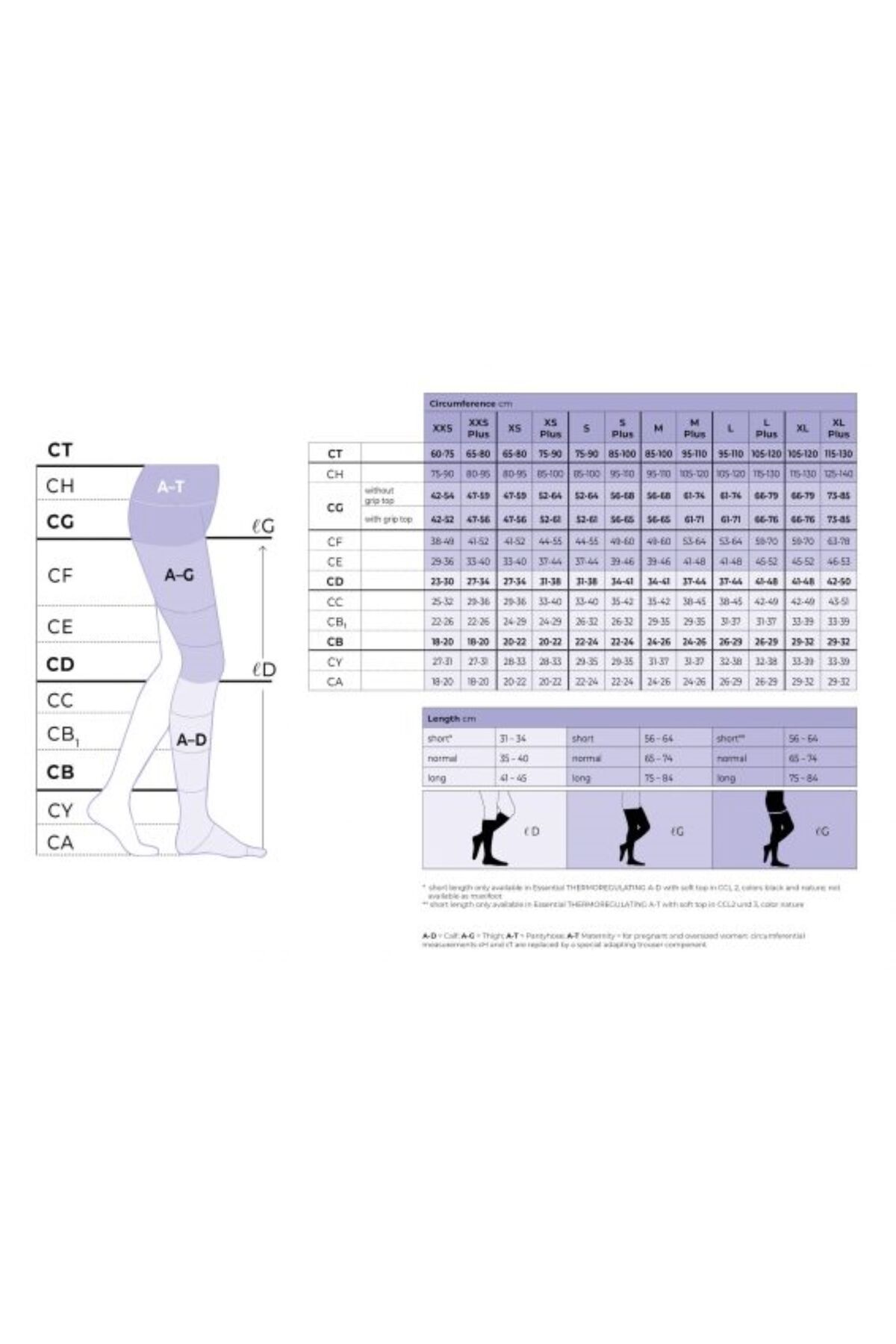 Sigvaris-Essential COTTON (COTTON) L (Normal) Ccl2 Below the Knee (Open Toe) Compression Socks 2