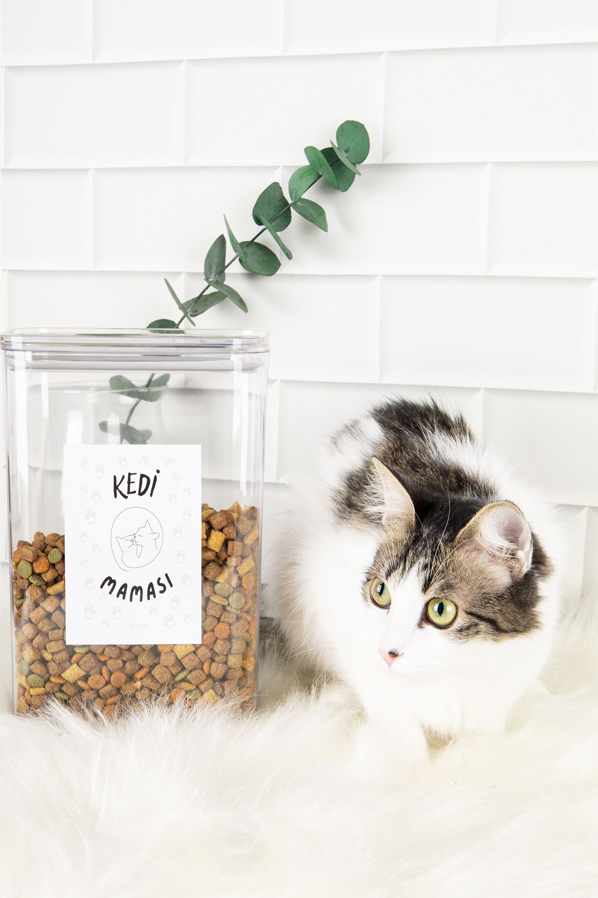 DNS HOME Cat Food Storage Container Mica 3000 ml Vacuum Organizer