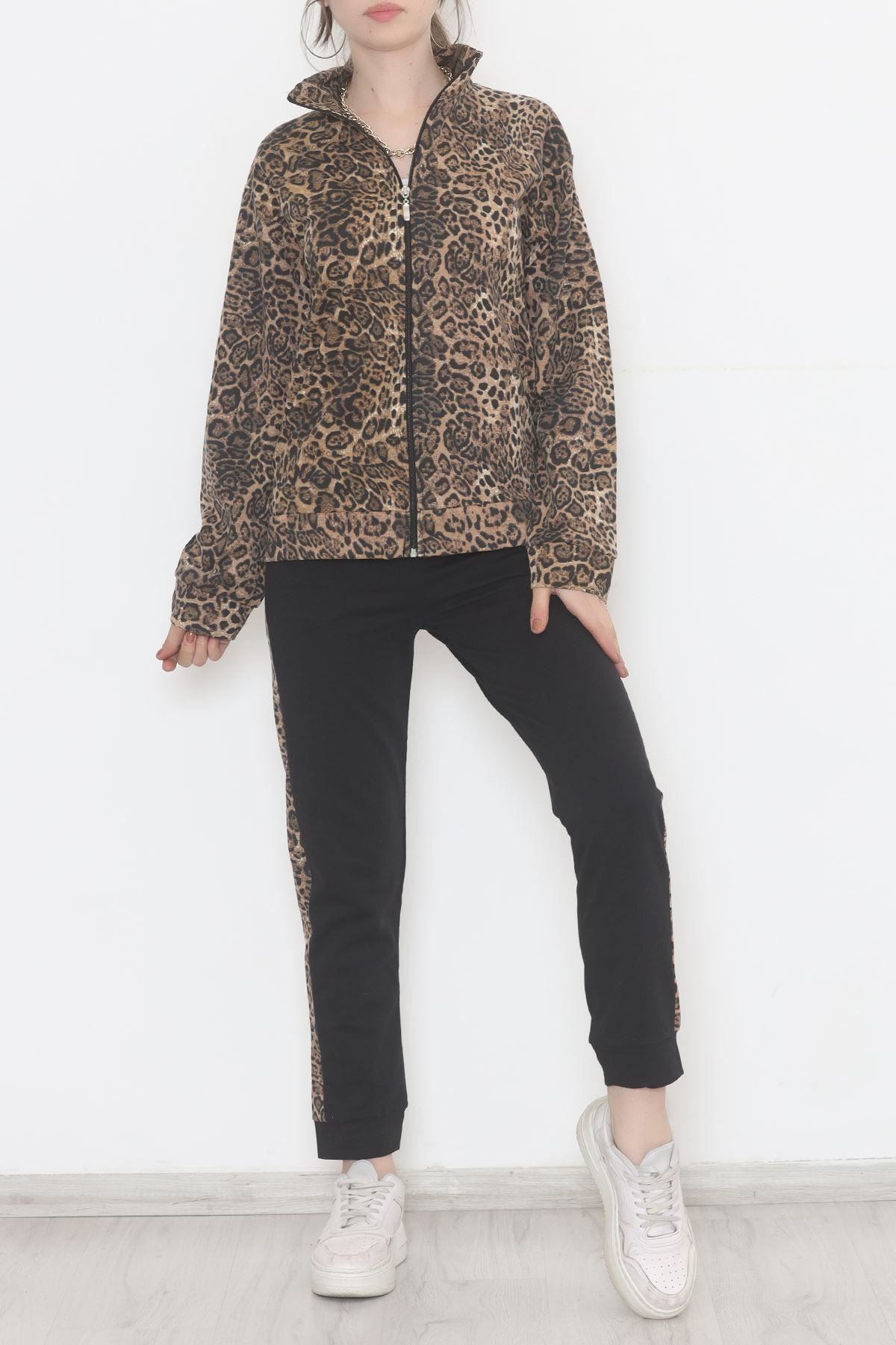 Zara sweat sales suit set