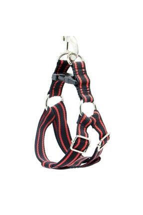 Checkmate Makarali Kopek Gezdirme Tasmasi Otomatik Tasma Yurutme Icin Kayis Trendyol