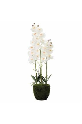 Yapay Çiçek Tmall Home 3 Dallı Beyaz Orkide Saksılı 67cm- 804577