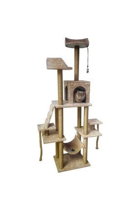 Pethome Kedi Tirmalama Evi Ve Oyun Platformu Trendyol