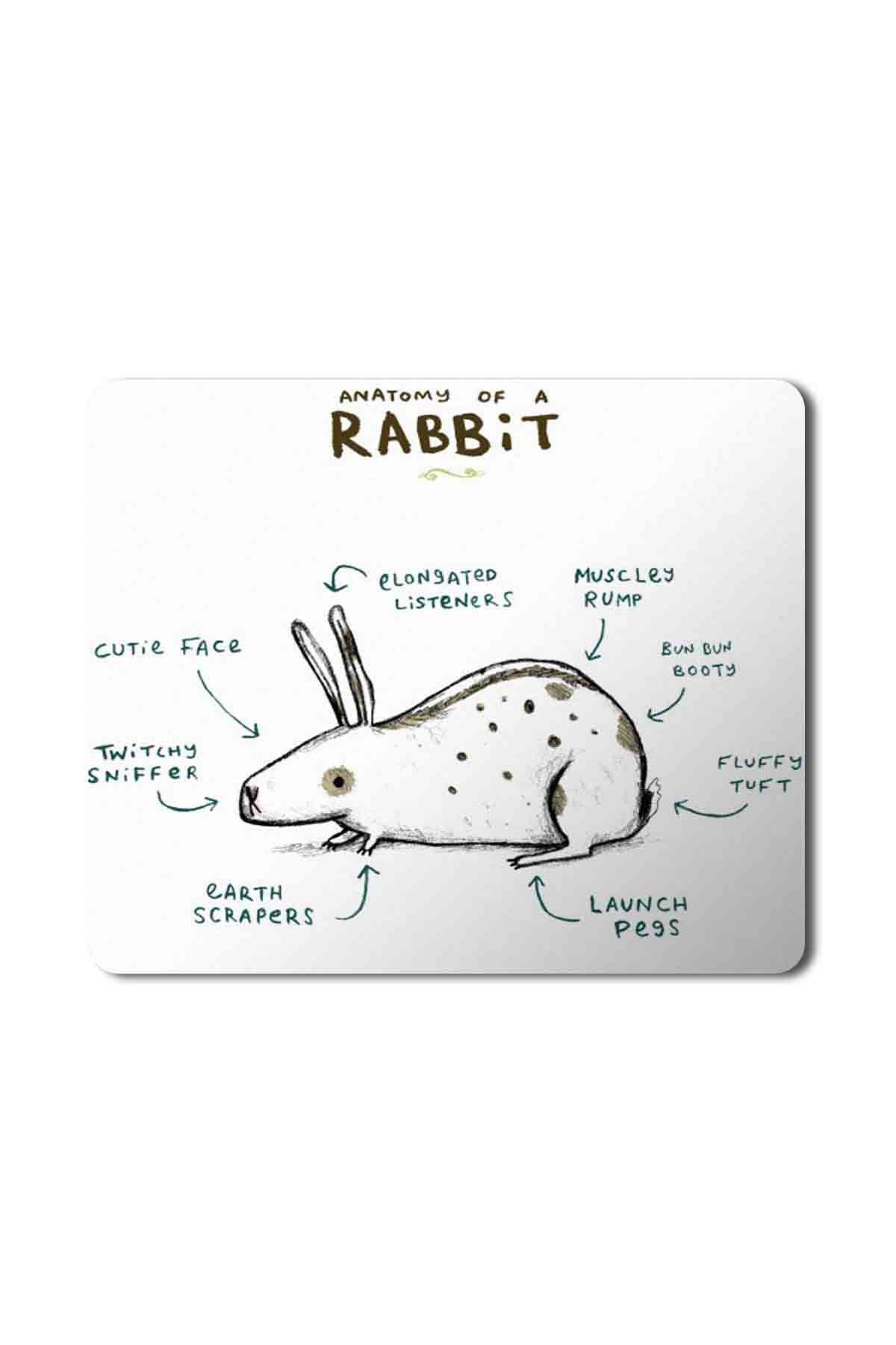 tavsan anatomisi anatomy of a rabbit mouse pad mousepad